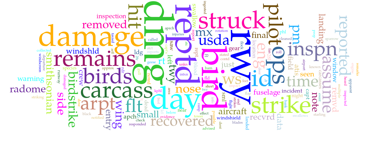 Word Cloud